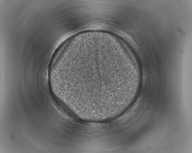 X0000111131226200907281043