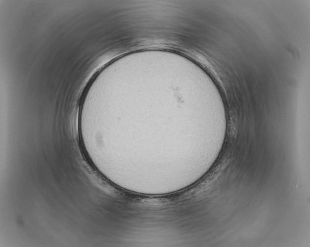 X0000111131227200907281043