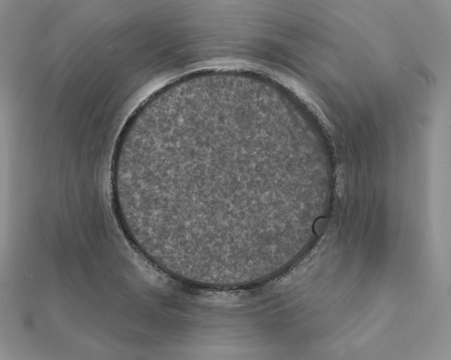 X0000111131229200907281043