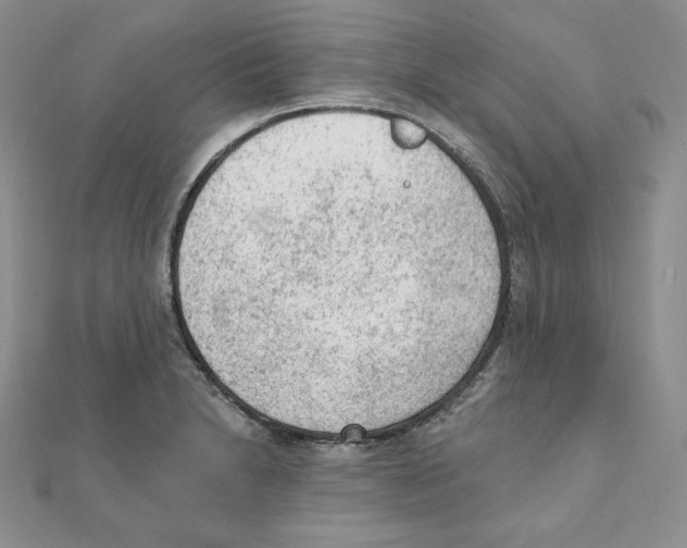 X0000111131230200907281044