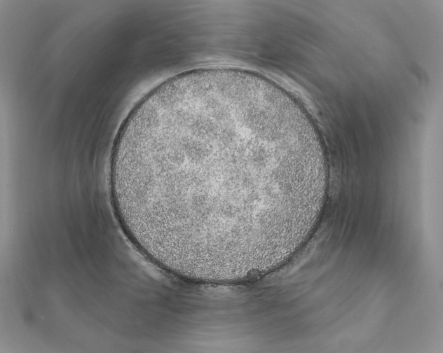 X0000111131231200907281044