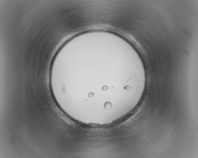 X0000111131232200907281044