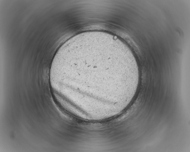 X0000111131233200907281044