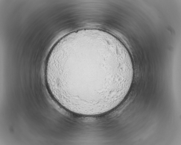 X0000111131235200907281044