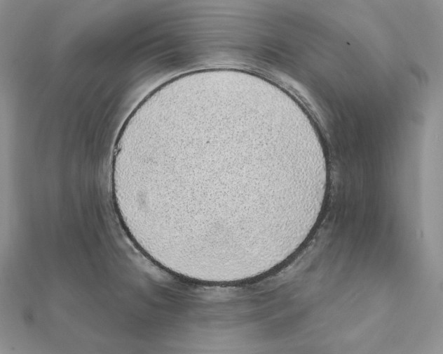 X0000111131236200907281044