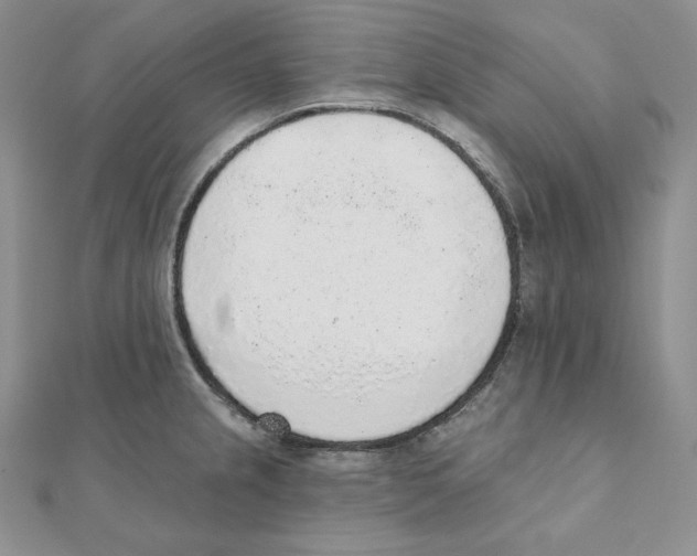 X0000111131237200907281044