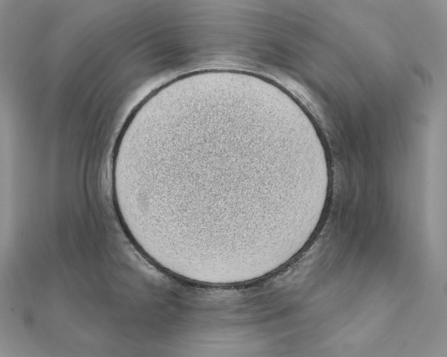 X0000111131238200907281044