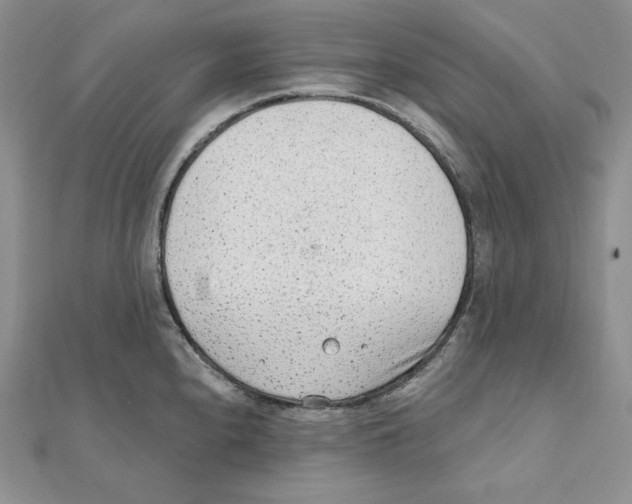 X0000111131240200907281044