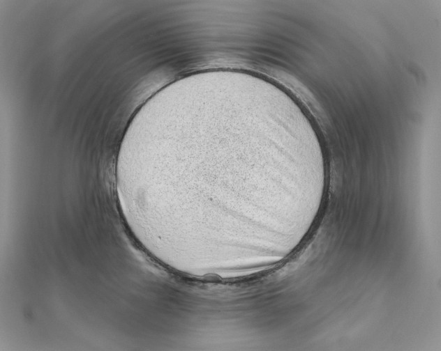 X0000111131241200907281044