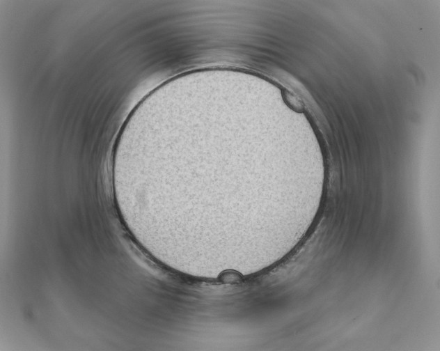 X0000111131242200907281044