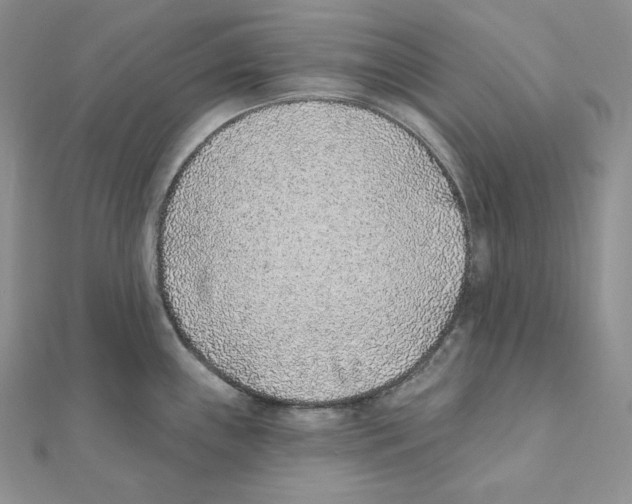 X0000111131243200907281044
