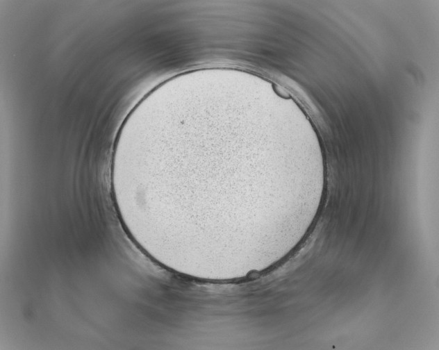X0000111131244200907281044