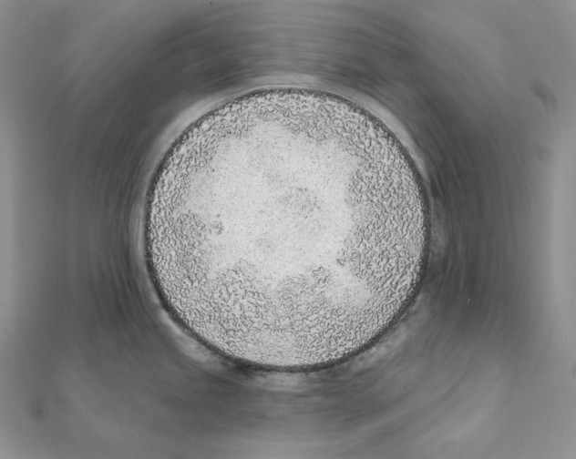 X0000111131245200907281044