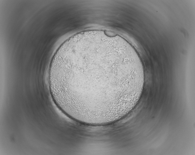X0000111131247200907281044