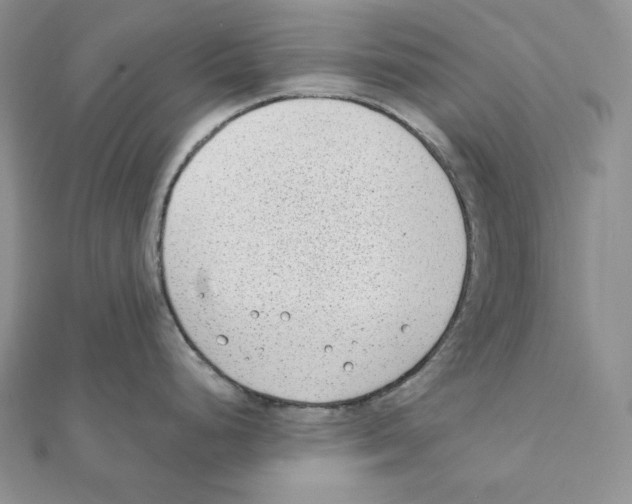 X0000111131248200907281044