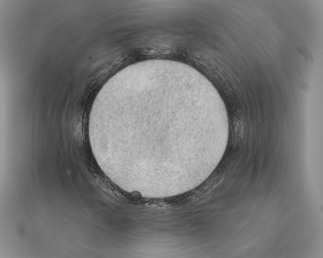 X0000111131250200907281043