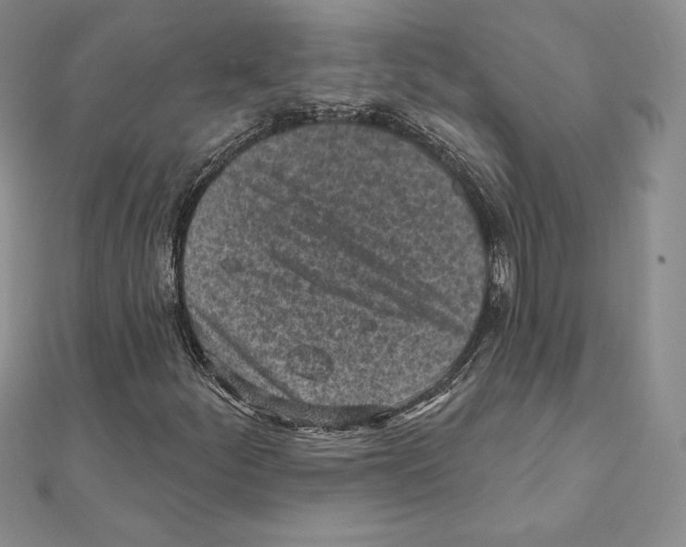 X0000111131252200907281043