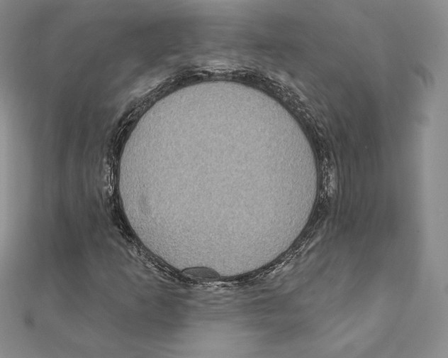 X0000111131253200907281043