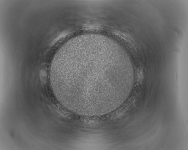 X0000111131254200907281043