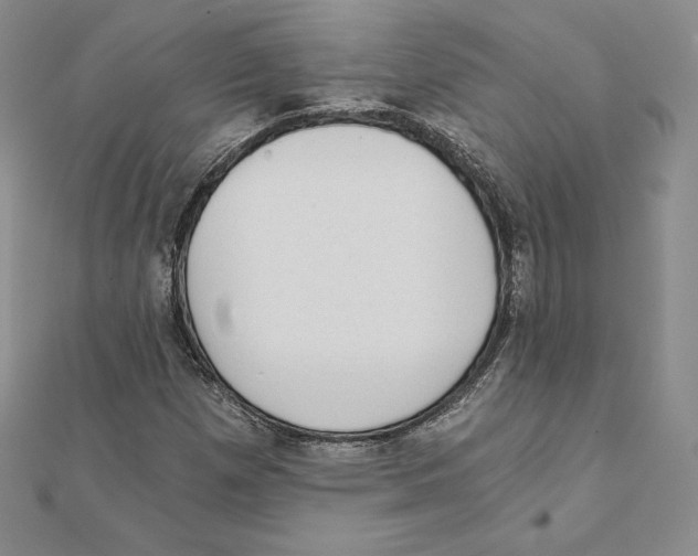 X0000111131257200907281043