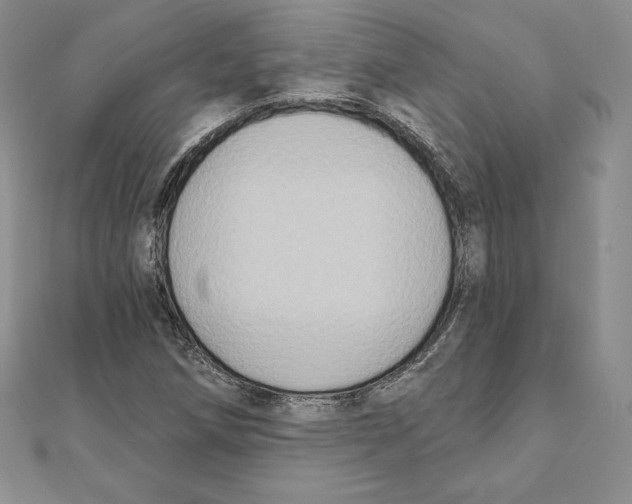 X0000111131258200907281043