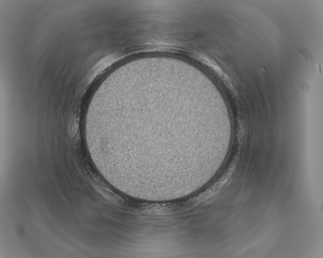 X0000111131259200907281043