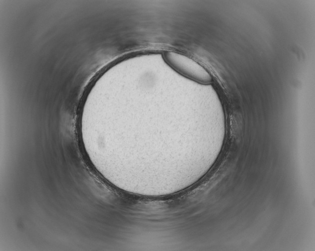 X0000111131260200907281043