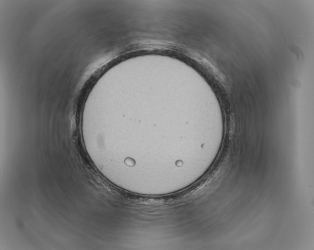 X0000111131261200907281043