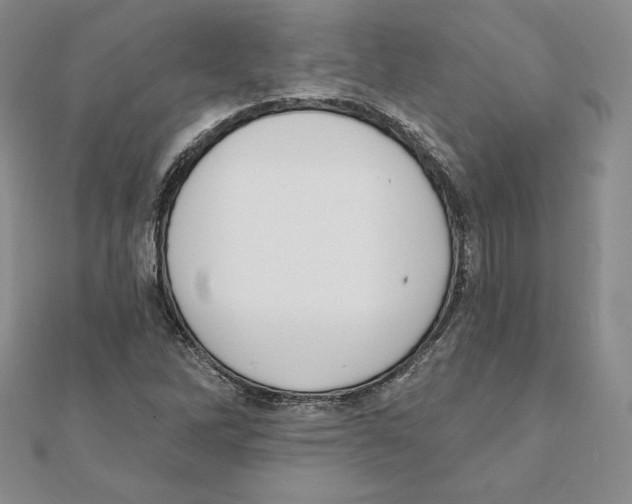 X0000111131262200907281043