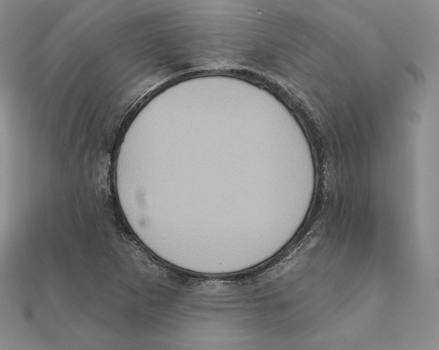 X0000111131265200907281043