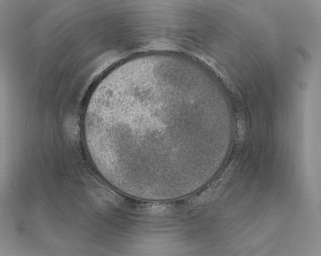X0000111131266200907281043