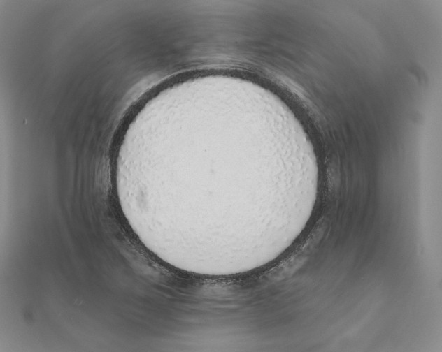 X0000111131267200907281043