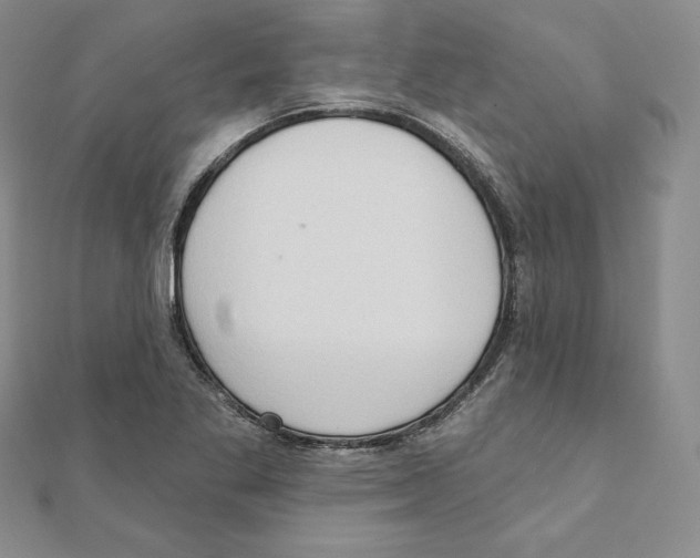X0000111131269200907281043