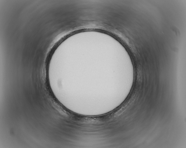 X0000111131270200907281043