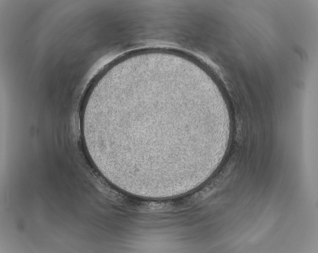 X0000111131271200907281043