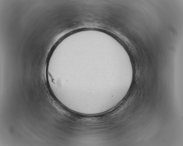 X0000111131272200907281043
