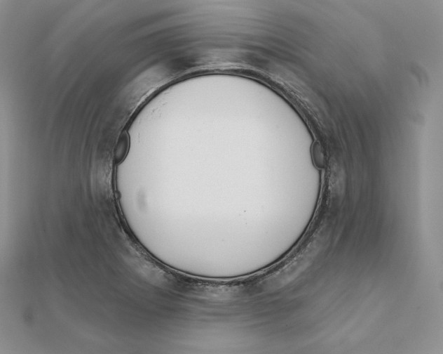 X0000111131273200907281043