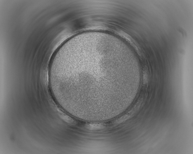 X0000111131274200907281043