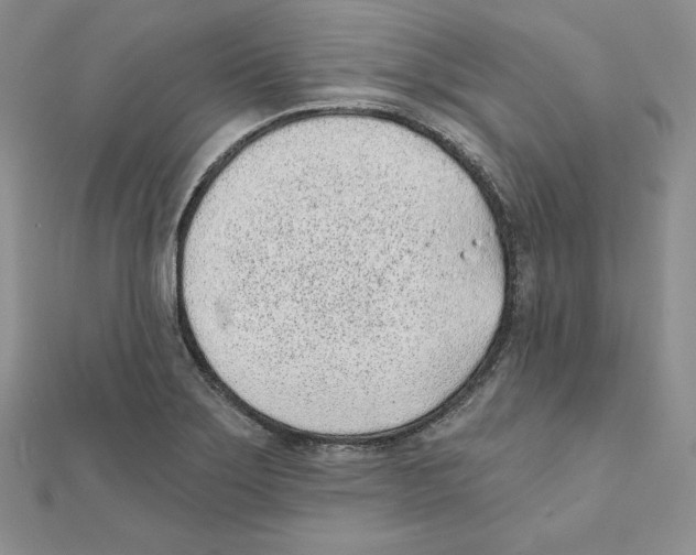 X0000111131275200907281043