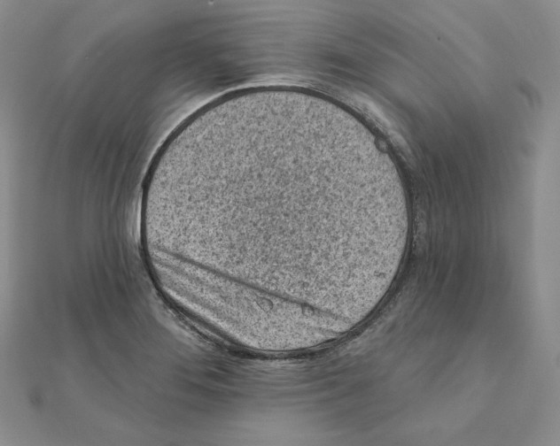 X0000111131276200907281043