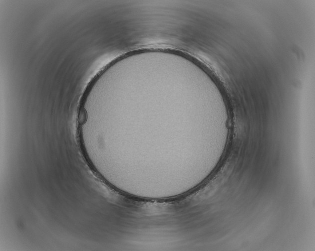 X0000111131277200907281043