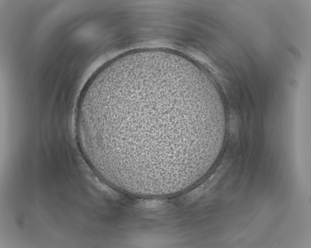 X0000111131278200907281043