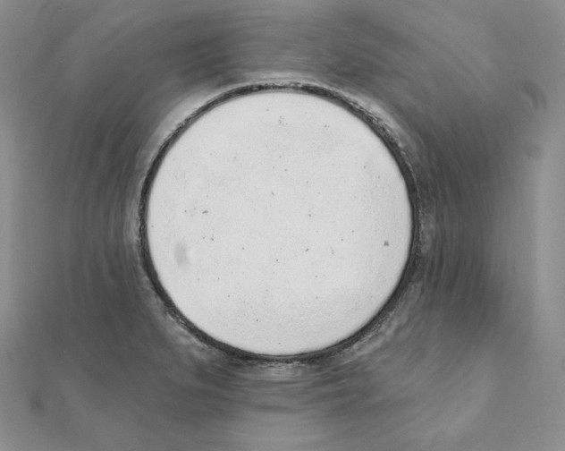 X0000111131279200907281043