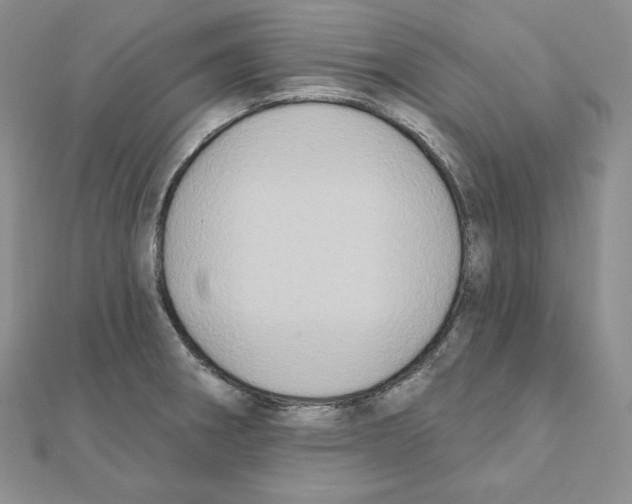 X0000111131282200907281043
