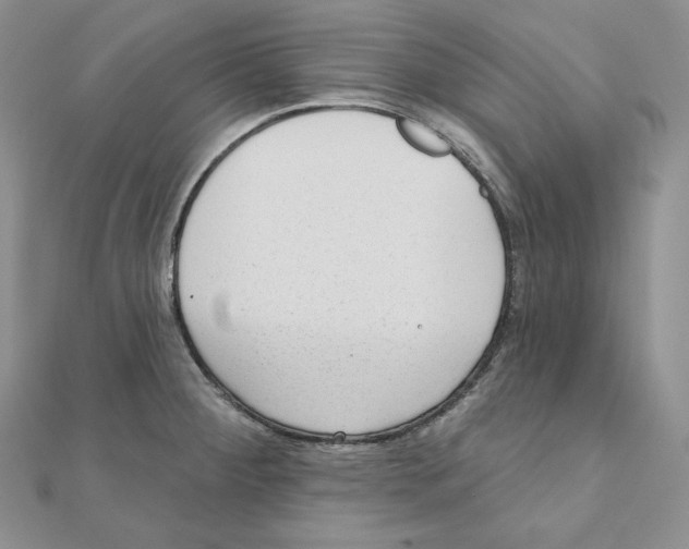 X0000111131284200907281043