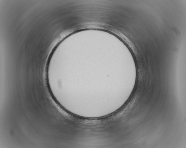 X0000111131285200907281043