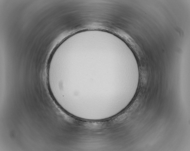 X0000111131286200907281043