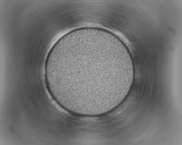 X0000111131287200907281043