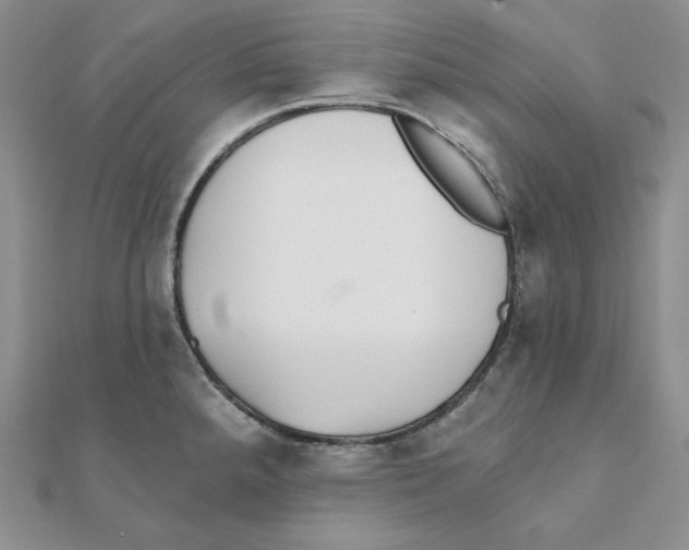 X0000111131288200907281043