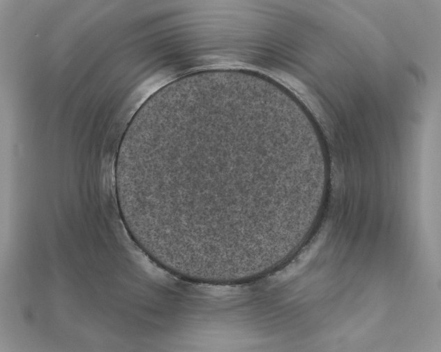 X0000111131289200907281043